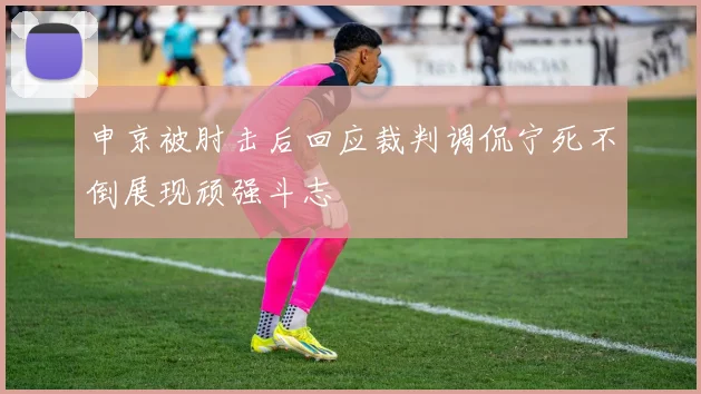 申京被肘击后回应裁判调侃宁死不倒展现顽强斗志